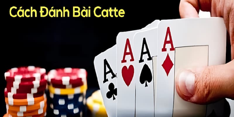 Hướng dẫn chi tiết cách chơi và luật chơi Catte cho anh em