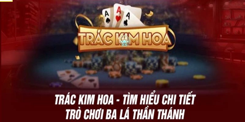 Thông tin về Trác Kim Hoa cho người chơi